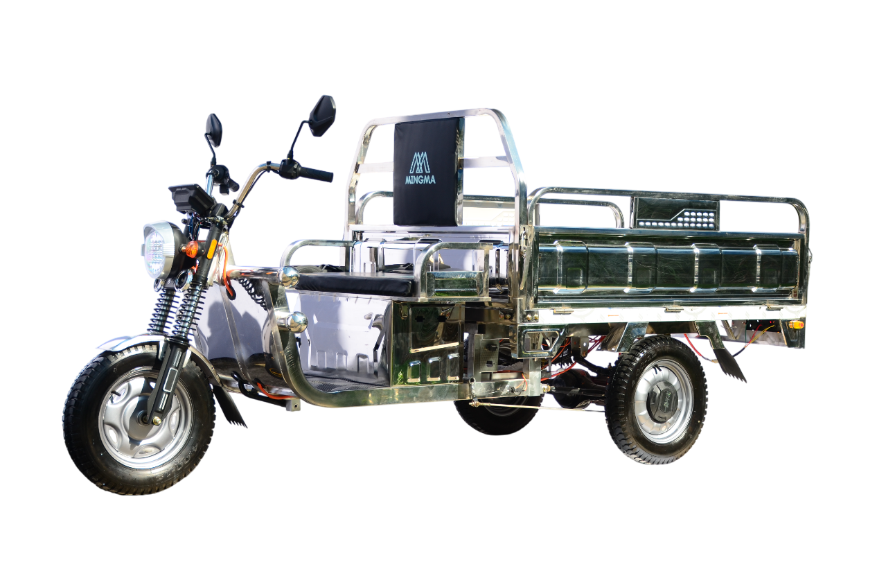 Xe ba bánh điện chở hàng 1.6Inox
