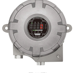 Thiết bị dò khí độc GTD-5000F Tx Gastron Việt nam