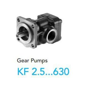 Bơm bánh răng KF32RF2 Kracht