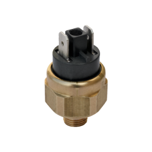 Công tắc áp suất Euroswitch 25R - Euroswitch VietNam