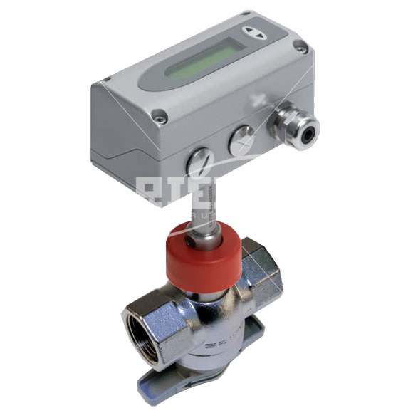 Đồng hồ đo lưu lượng EE771 | EE772 Riels Việt Nam