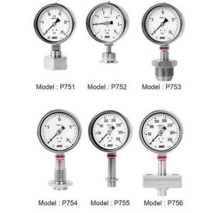 P750, P751, P752, P753, P754, P755, P756 Wise Control- đồng hồ đo áp suất Wise Control