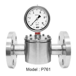 P761, P762, P763 Wise- đồng hồ đo áp suất Wise Control Việt Nam