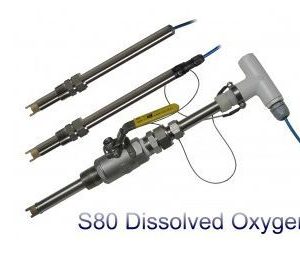 S80 ECDI- cảm biến oxy hòa tan S80 ECDI Việt Nam