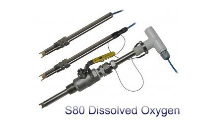 S80 ECDI- cảm biến oxy hòa tan S80 ECDI Việt Nam